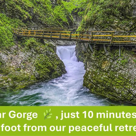 Apartment Valy - Free Bikes, Relaxing Terrace & Near Bled Esterno foto