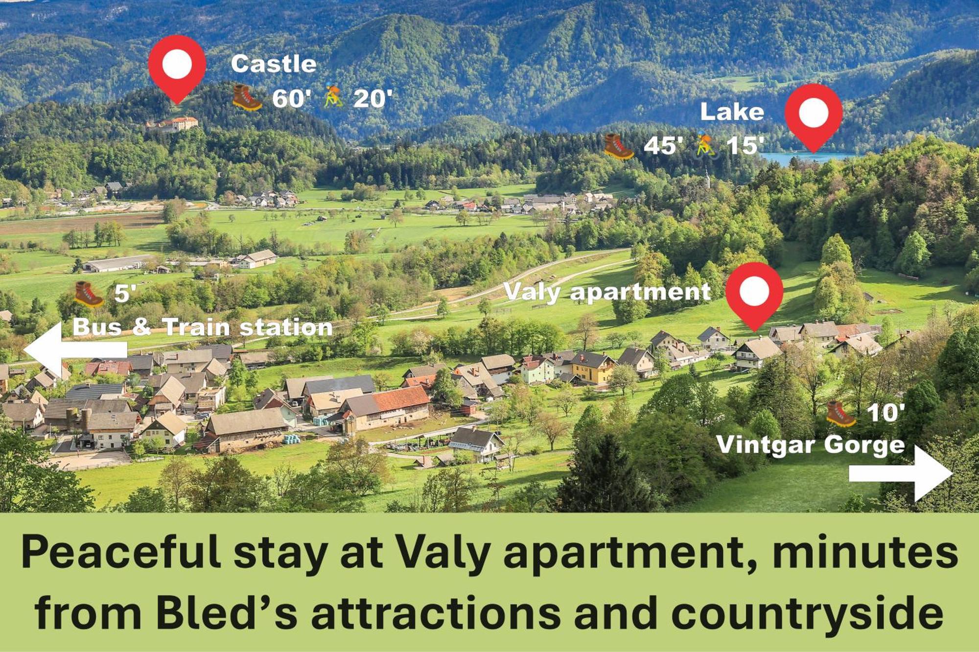 Apartment Valy - Free Bikes, Relaxing Terrace & Near Bled Esterno foto